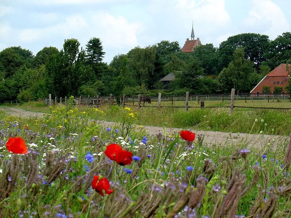 Anloo: Zicht op Anloo